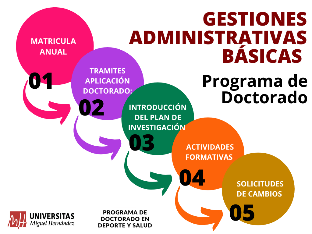Recorrido programa de doctorado